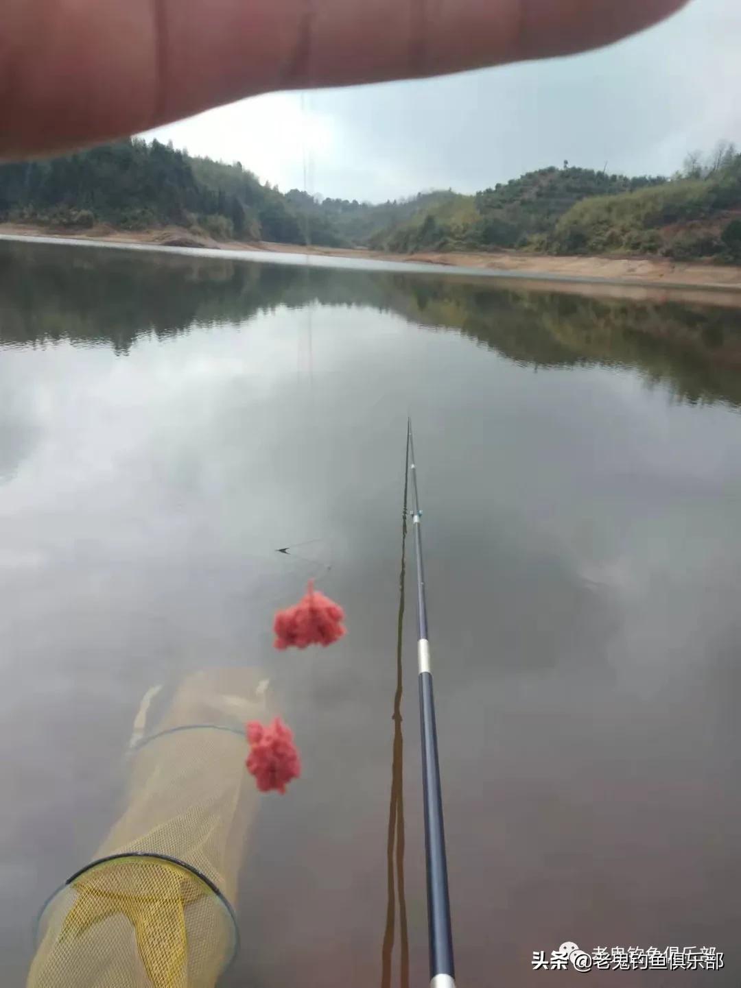 野钓谷香鲫鱼饵料,浓腥野钓饵料