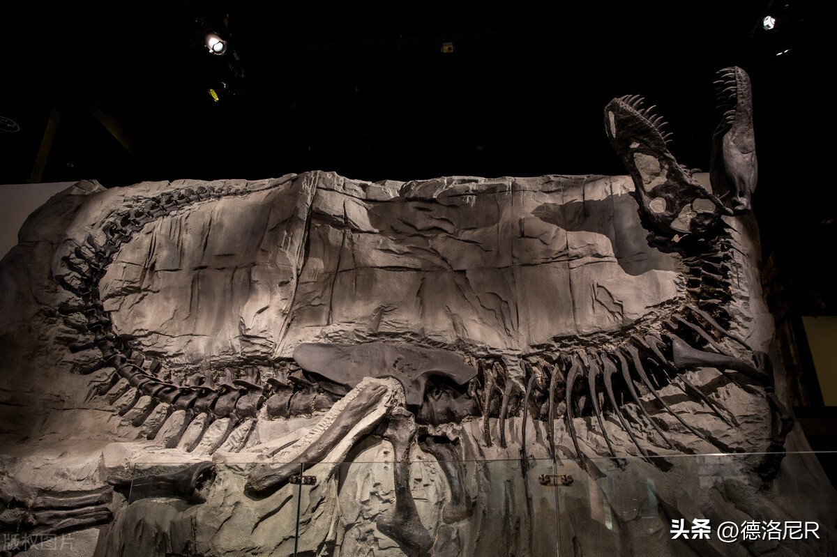 地球和宇宙的所有故事,探索宇宙把地球的故事讲给宇宙