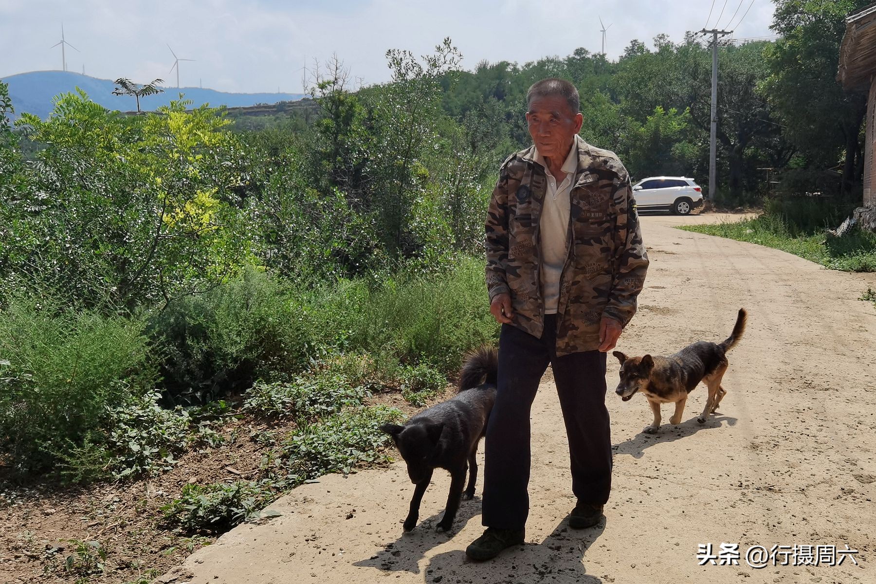 老人在山上养了两条狼狗,山里老人养的大狗