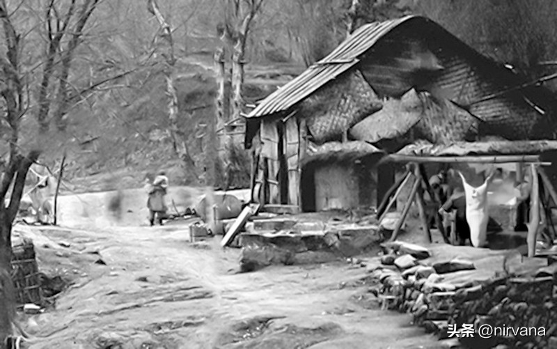 抗日战争女杰,抗日战场女司令