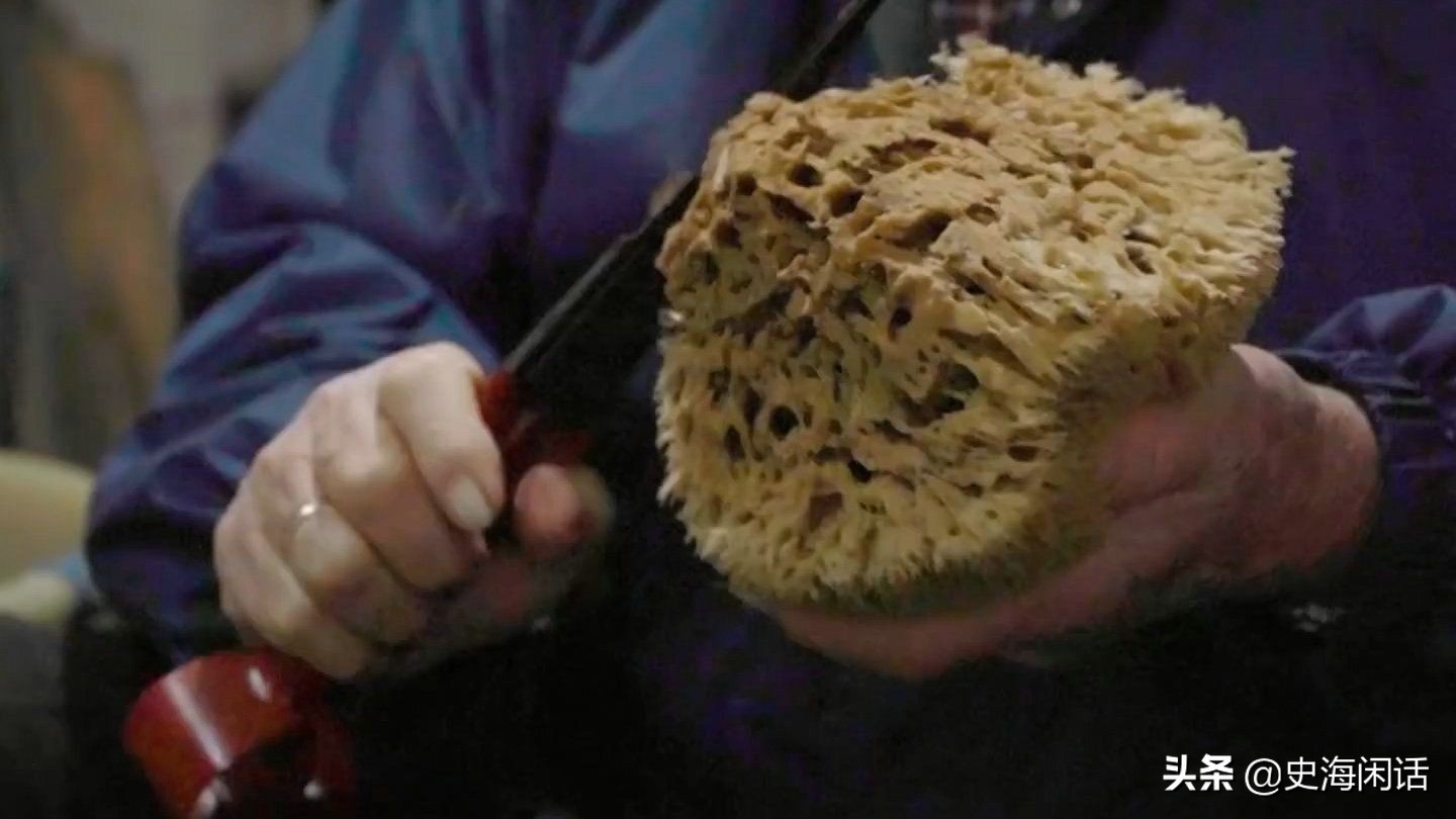 海洋海绵作用,价格昂贵的海绵