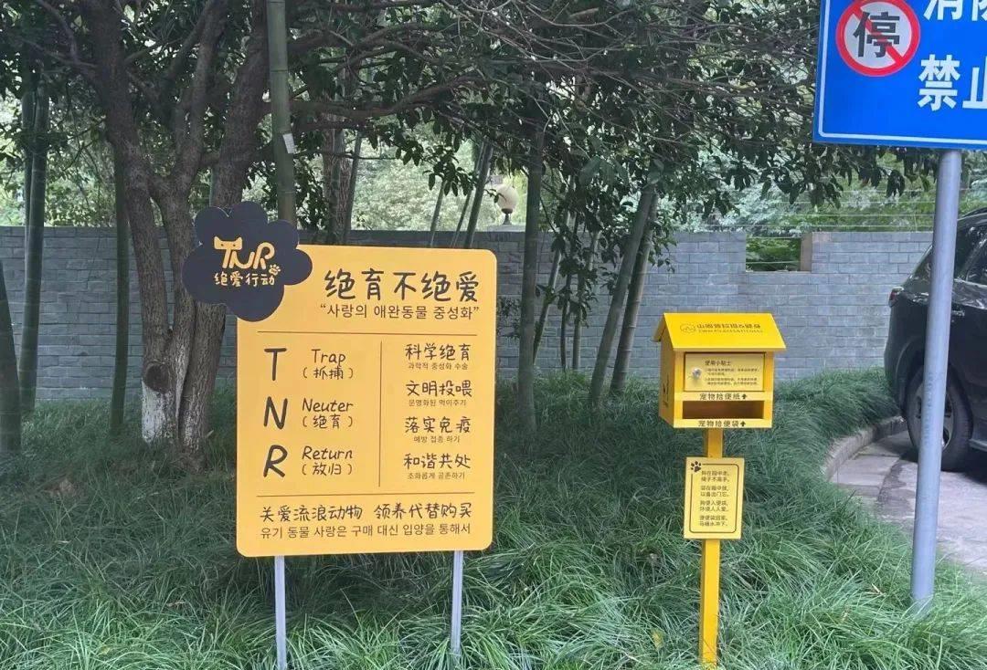 流浪猫数量过多的问题,控制流浪猫数量的方法