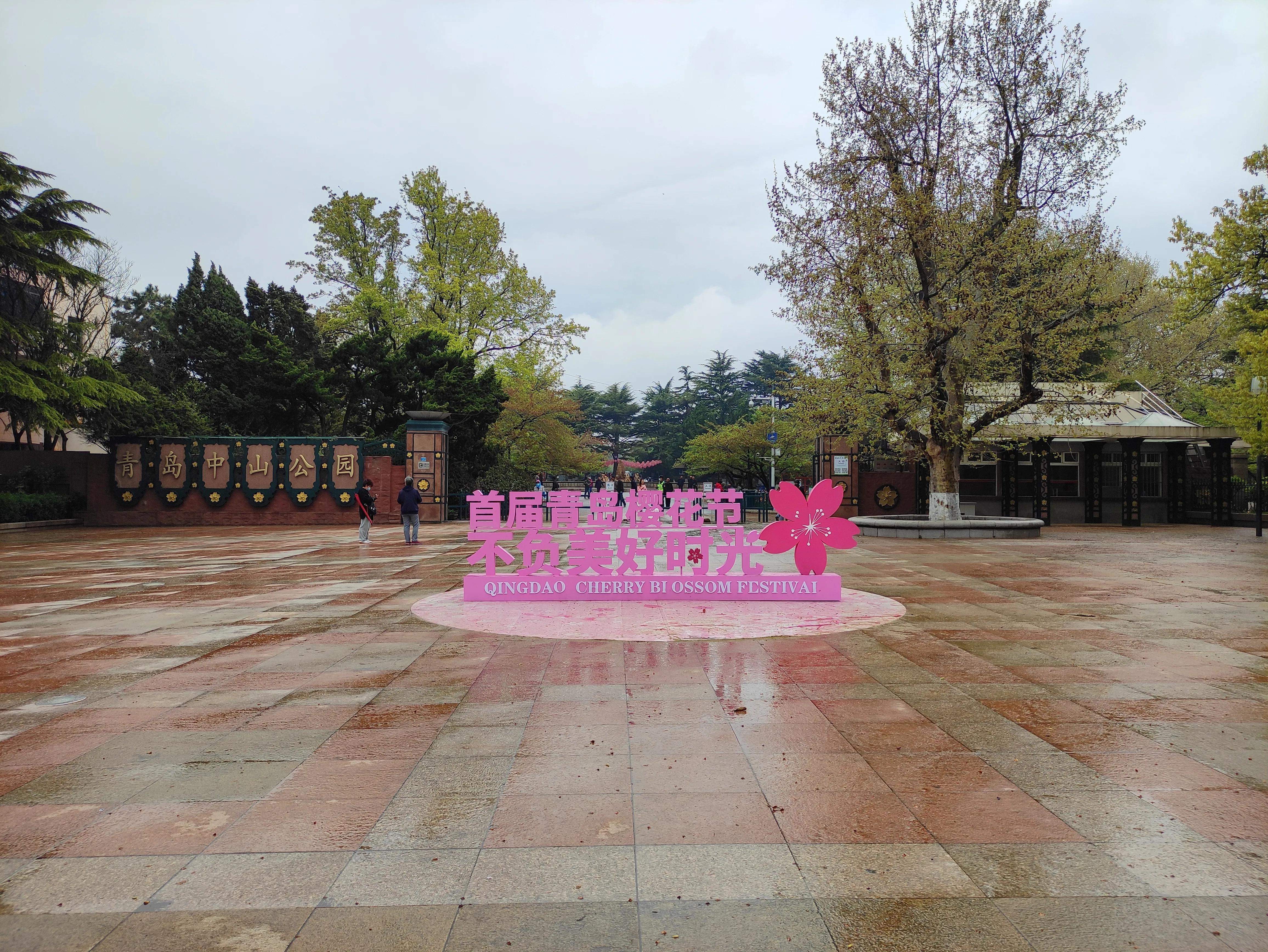 去山东青岛旅游过程和收获,去青岛旅游感受100字