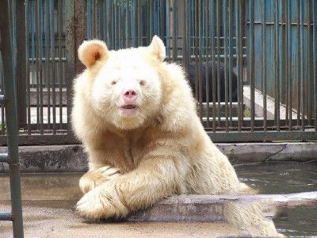 刷新三观的事件,世界自然奇闻异事大全