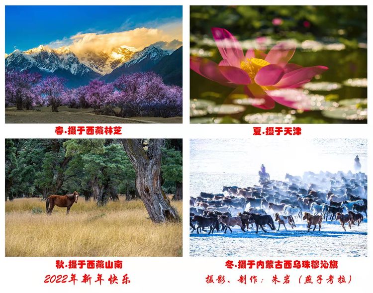 铁道兵女兵方队,铁道兵女兵七一晚会