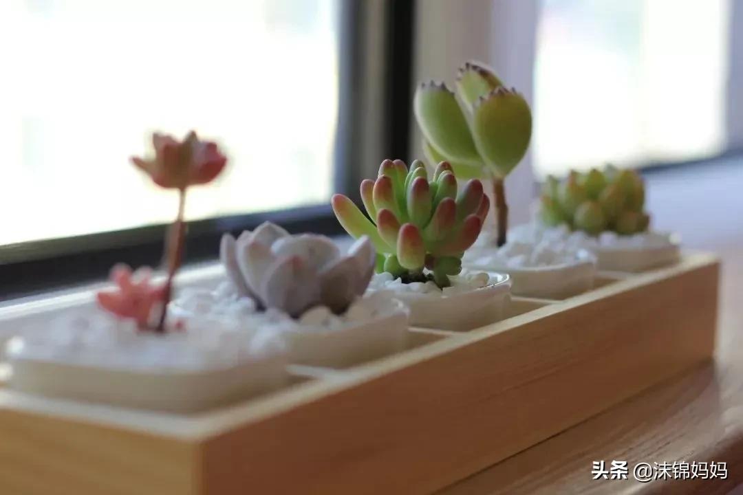 这个社会没感同身受只有冷暖自知,这个社会没有一样的感同身受