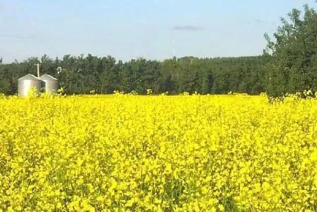 回忆之旅,回忆里的那个人原唱完整版