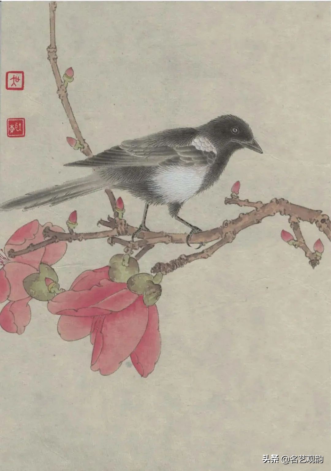 国画禽鸟写意教学视频,工笔禽鸟圆扇图片大全