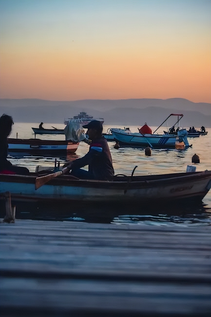 家庭养殖业什么最赚钱,家庭养殖业什么最赚钱最好养的