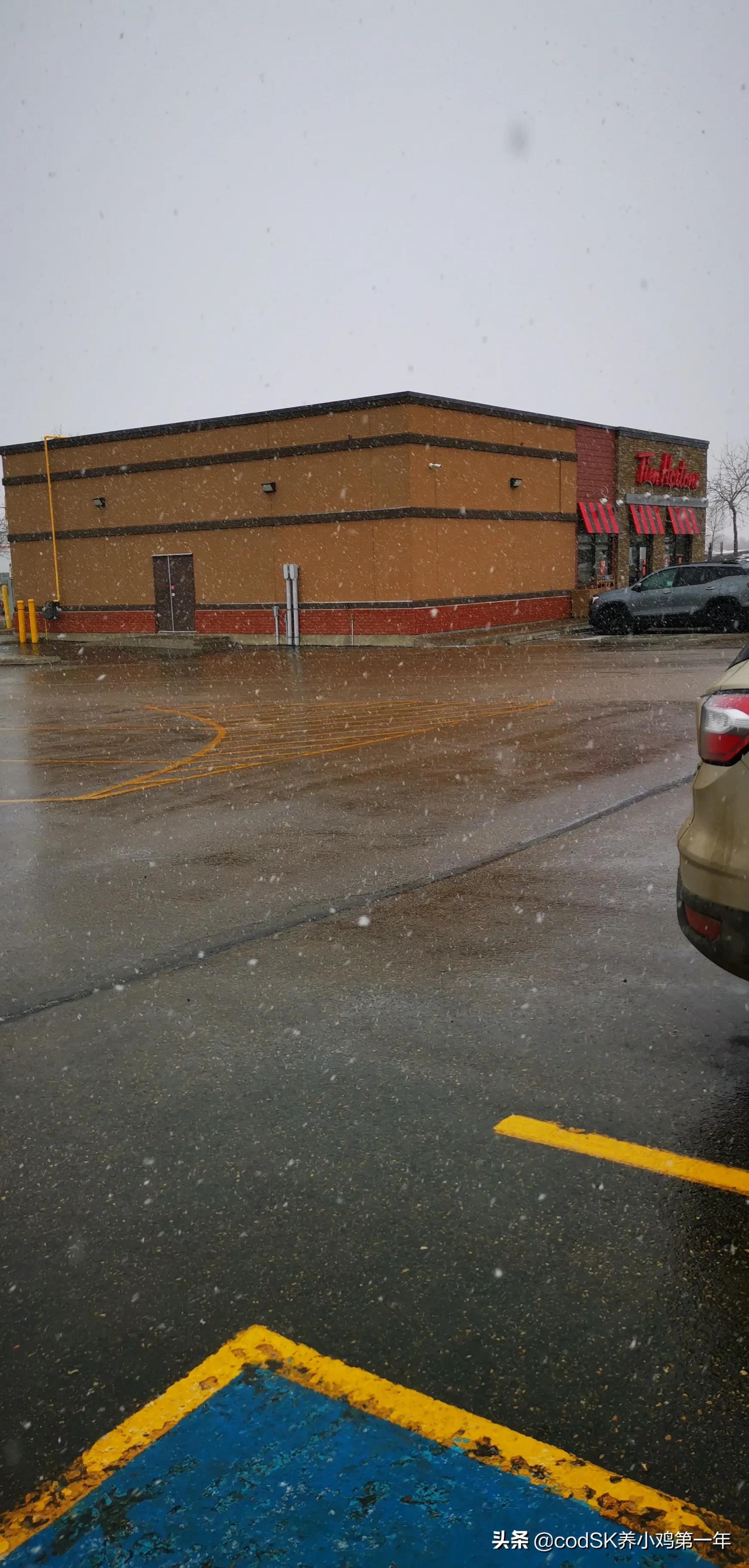 在加拿大送快餐赚钱吗,在国外送外卖真的工资那么高吗