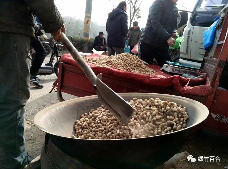 落花生课文,落花生的女儿