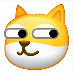 谁懂啊！回南天的养狗人家，惨过住鸡圈！pang臭！