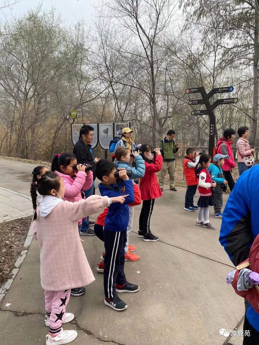 鸟类科普教学,鸟类科普课程