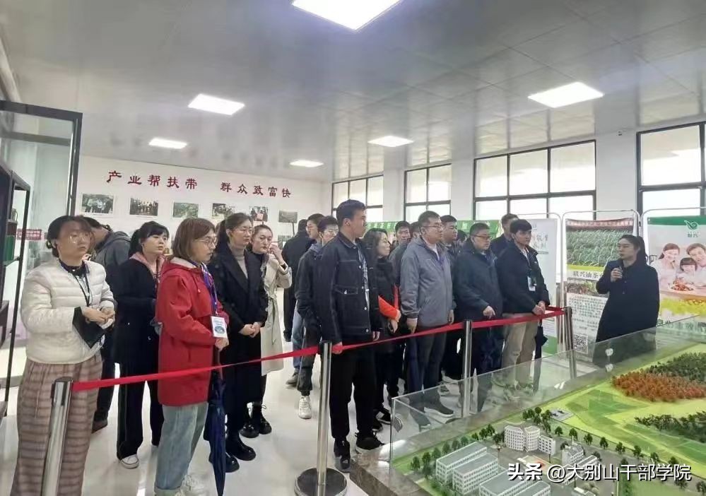 学用结合学习重点,学用结合的具体举措