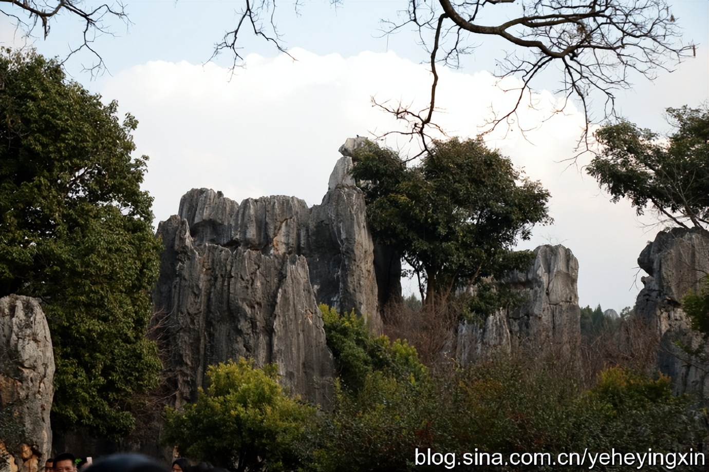 世界地质公园云南石林风景区,昆明石林国家地质公园