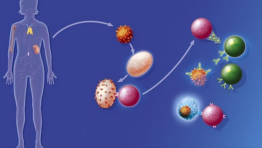试纸、抽血均显示怀孕，为什么医生却说没怀孕？怀孕还能有假的？