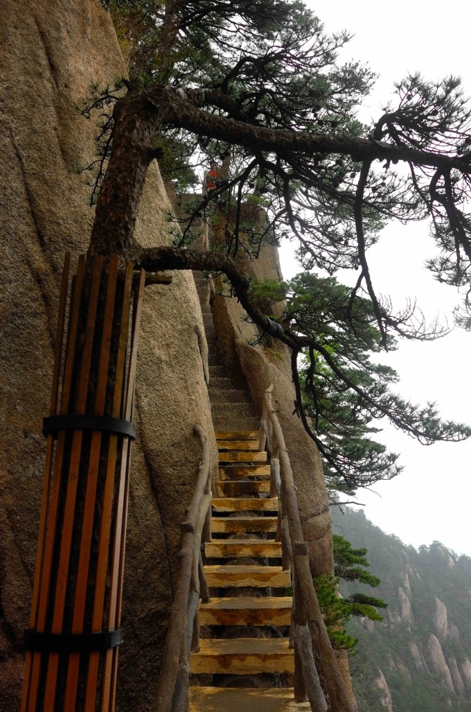 黄山慈光阁到玉屏楼步行多久,爬黄山从慈光阁开始的攻略