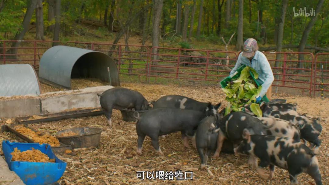 满分推荐！这部颠覆三观的良心之作，绝不该只有300人看过