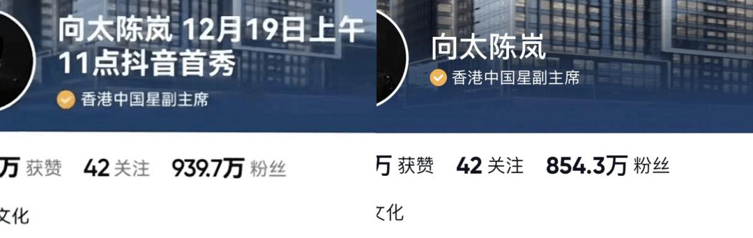 谢娜再谈助理打手机后续,谢娜工作室致歉助理原视频