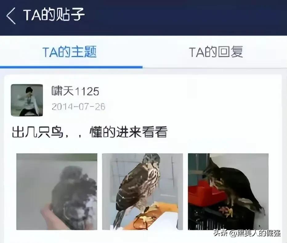 大学生因掏鸟窝被判有期徒刑十年,父亲坚持上诉五年,是错判吗