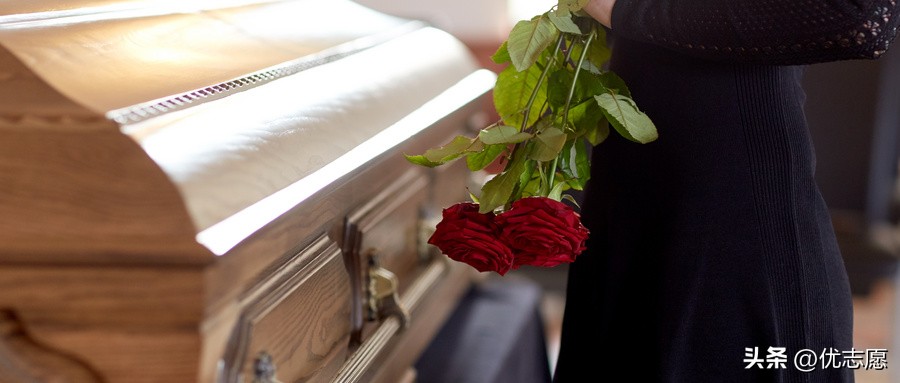 填报什么专业学校就业前景好,就业前景好的院校专业排名