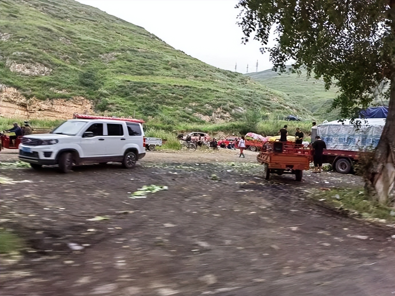灏忓ぉ灞遍夯鐢板箔鏅尯浜戞捣,楹荤敯宀皬澶╁北璺ソ璧颁箞