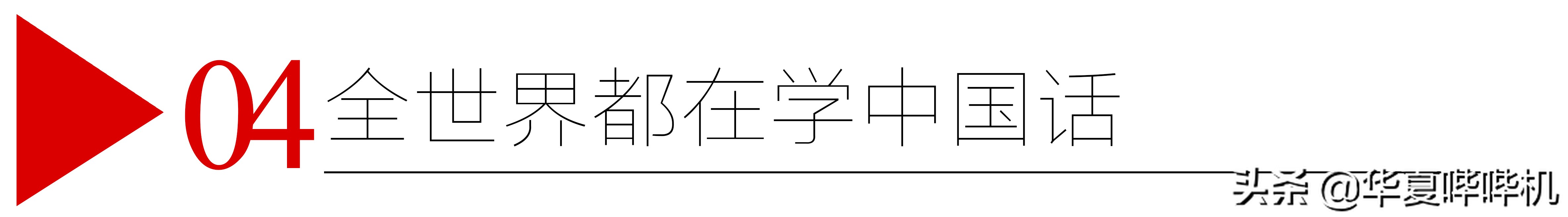 “中国通”大山的走红，和他回国的真相
