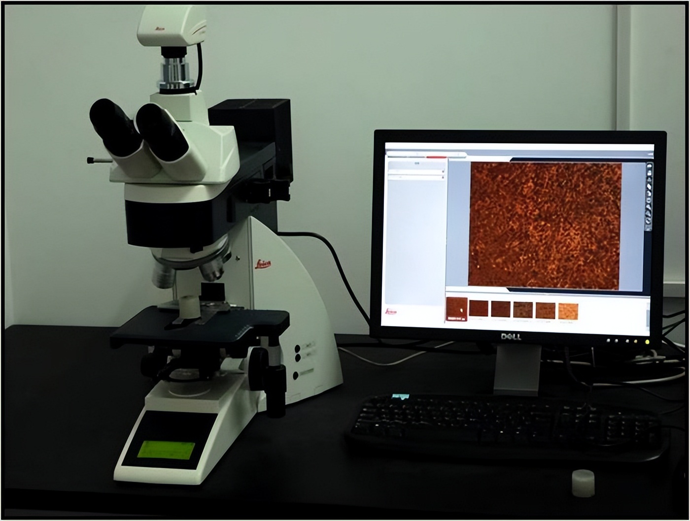 显微镜检测钢材,测钢材材质的仪器