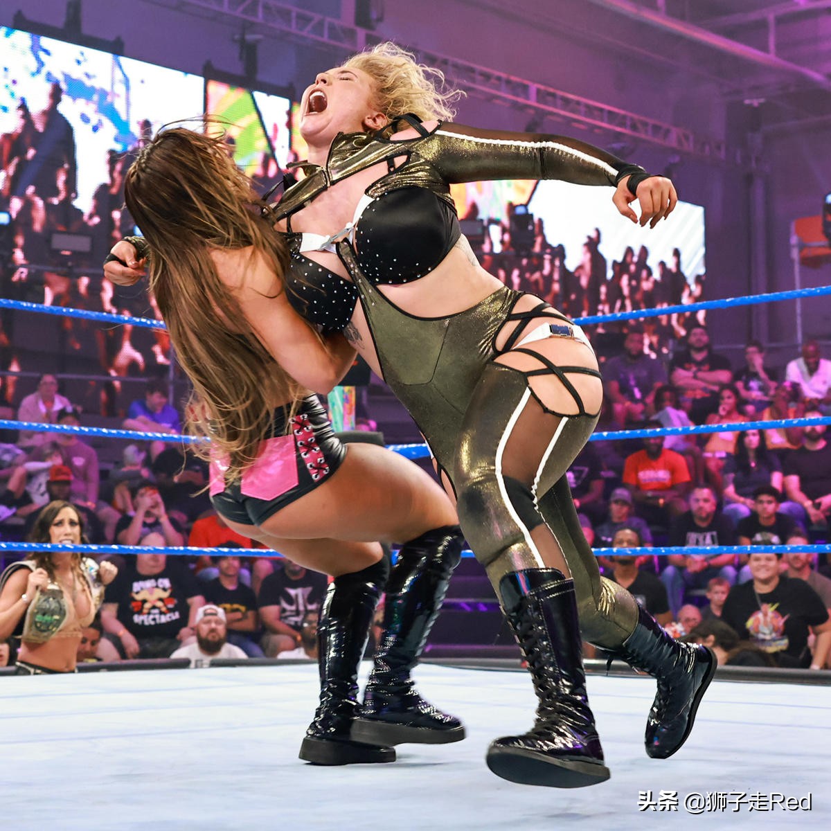 wwe第1592期,wwe2023年9月16日最新比赛视频