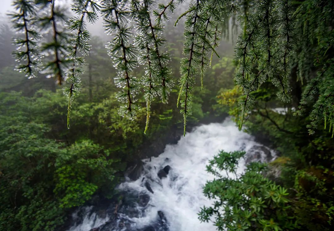 现在的木格措风景,川西高原木格措旅游