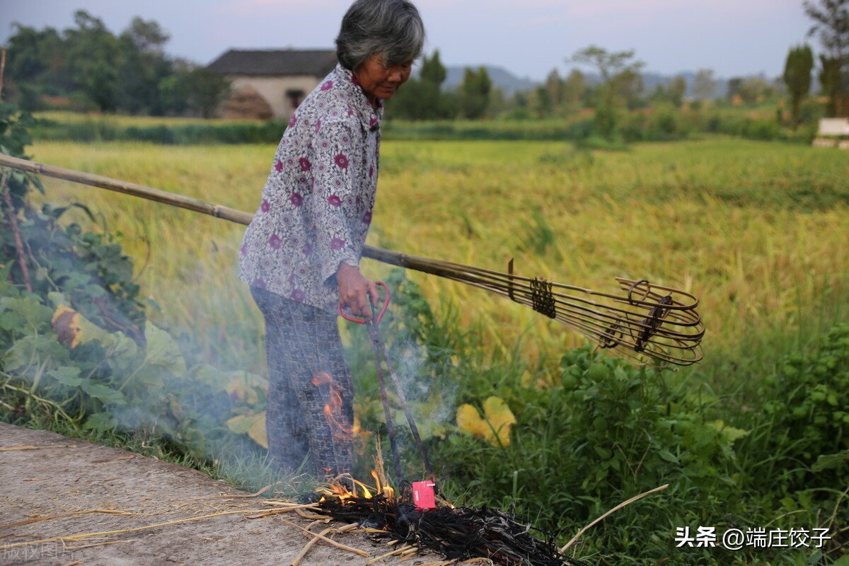 与乡土有关的散文,乡土散文故乡的巷子