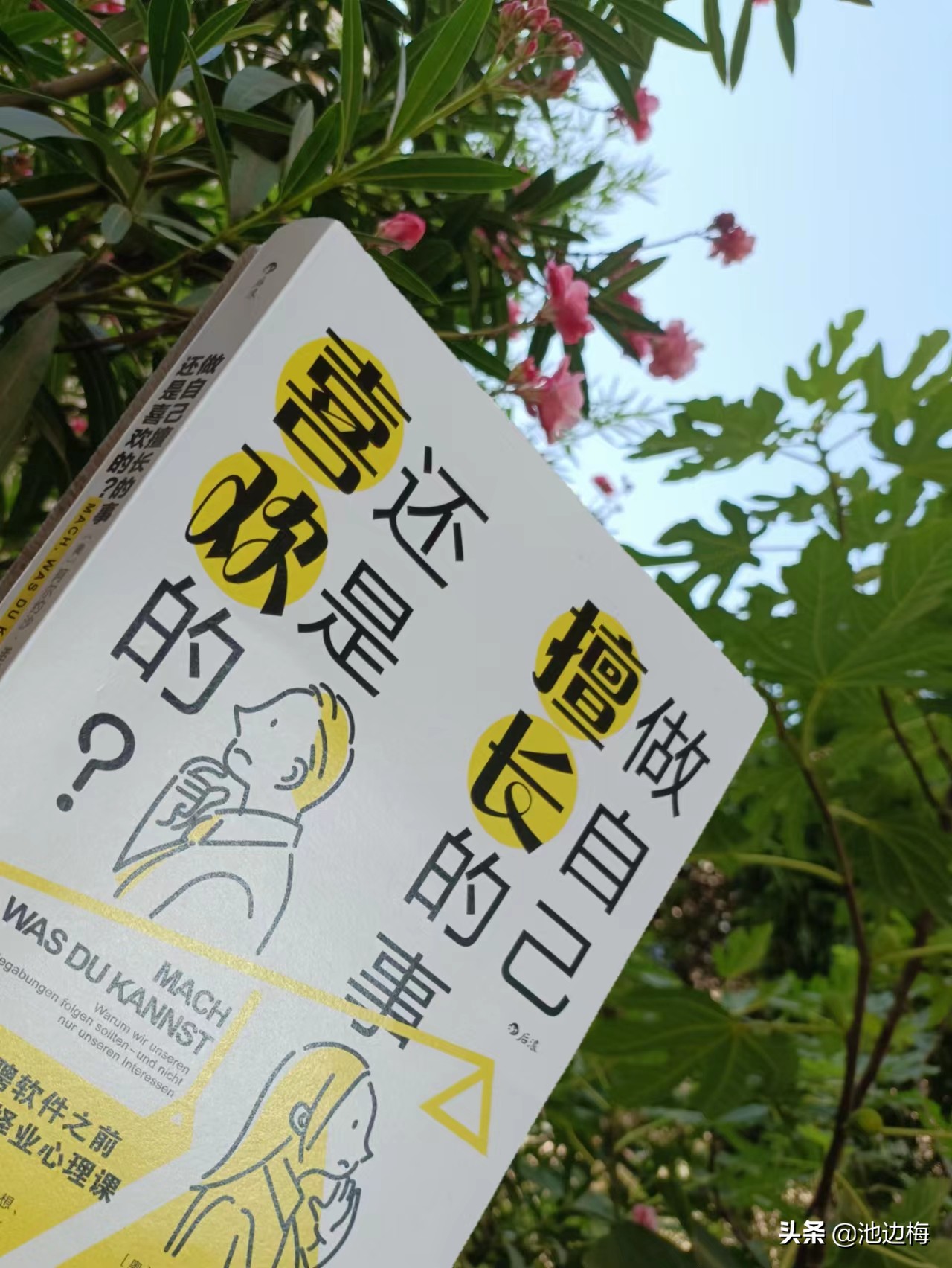 在自己最擅长的领域做最好的自己,在自己擅长的领域做最好的自己