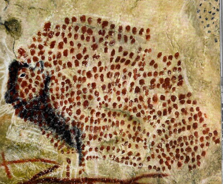 真正的斑马,你不了解的斑马