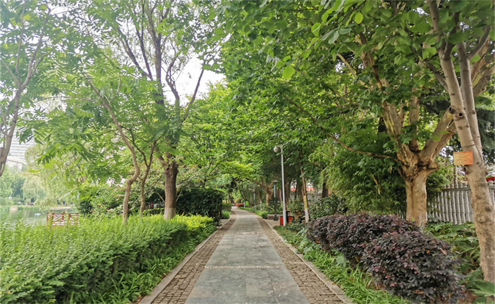 南京小西湖历史风貌,小西湖景区南京市江宁区