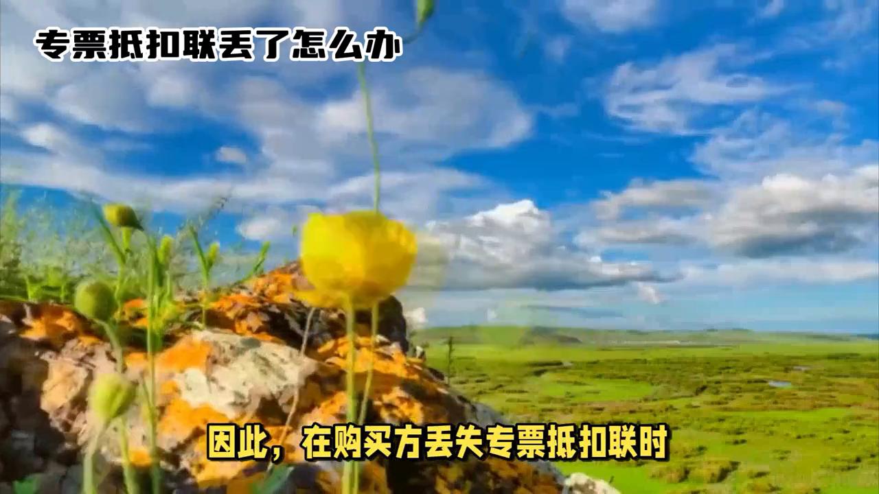 专用发票发票联丢了咋办,发票抵扣联丢了怎么报销