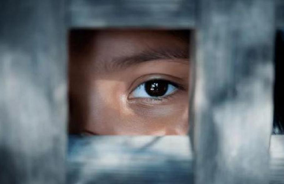 荷兰宣布性合法后遗症,荷兰合法化