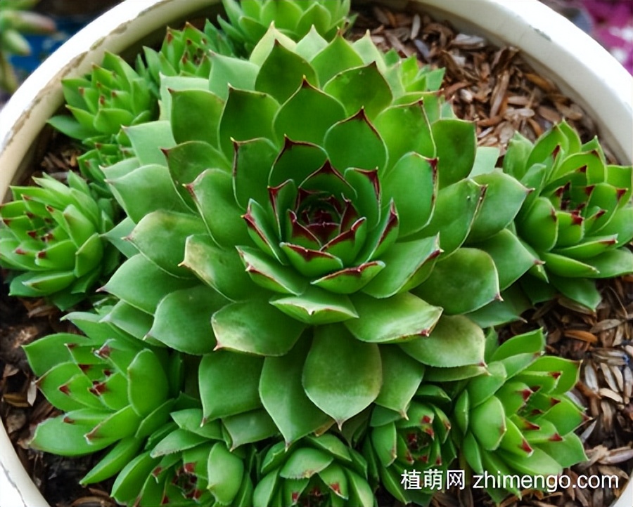 绘画征集活动描绘新时代,描绘新时代征文