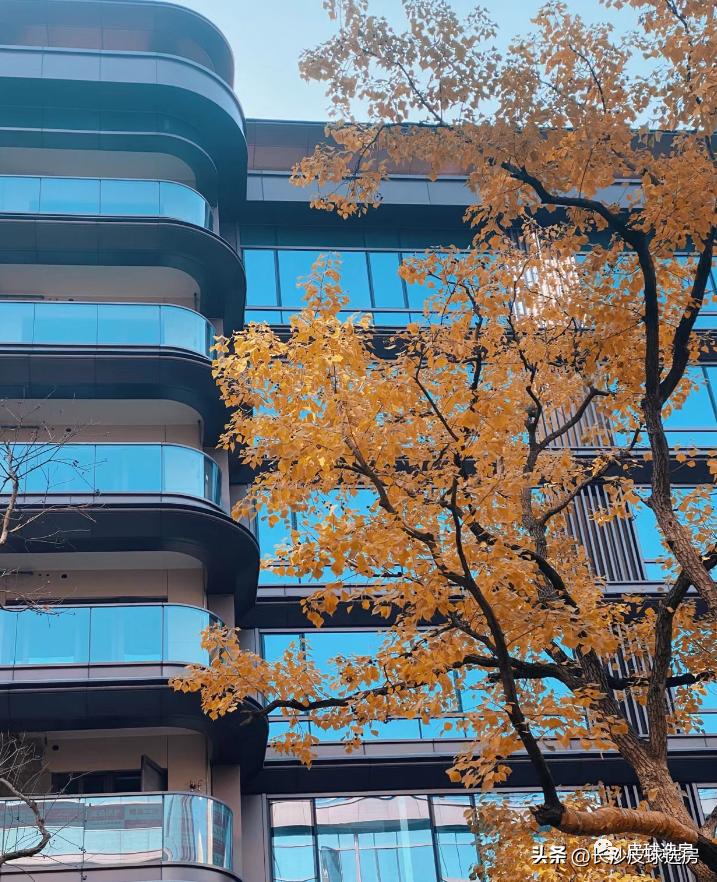 长沙龙湖舜山府点评,长沙龙湖舜山府卖不出去