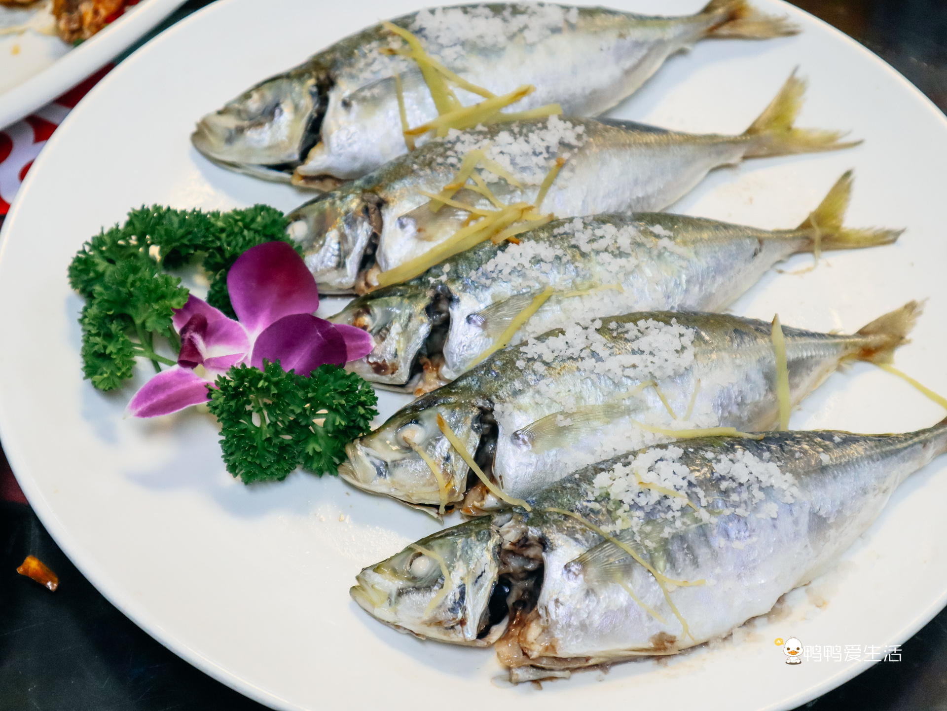 来厦门八市阿明海鲜，吃到糖醋话梅鱼、养殖巴浪鱼，新鲜又实在！