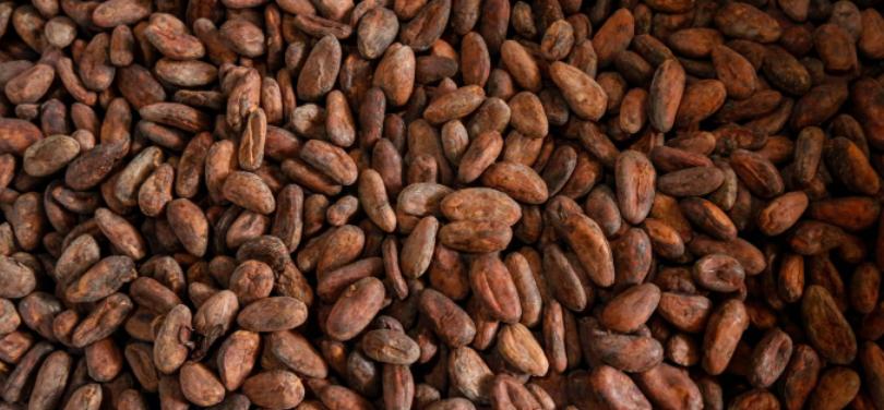 鏂拌タ鍏板阀鍏嬪姏姒涘瓙鑰冩媺,鏂拌タ鍏板阀鍏嬪姏缁胯壊澶瑰績