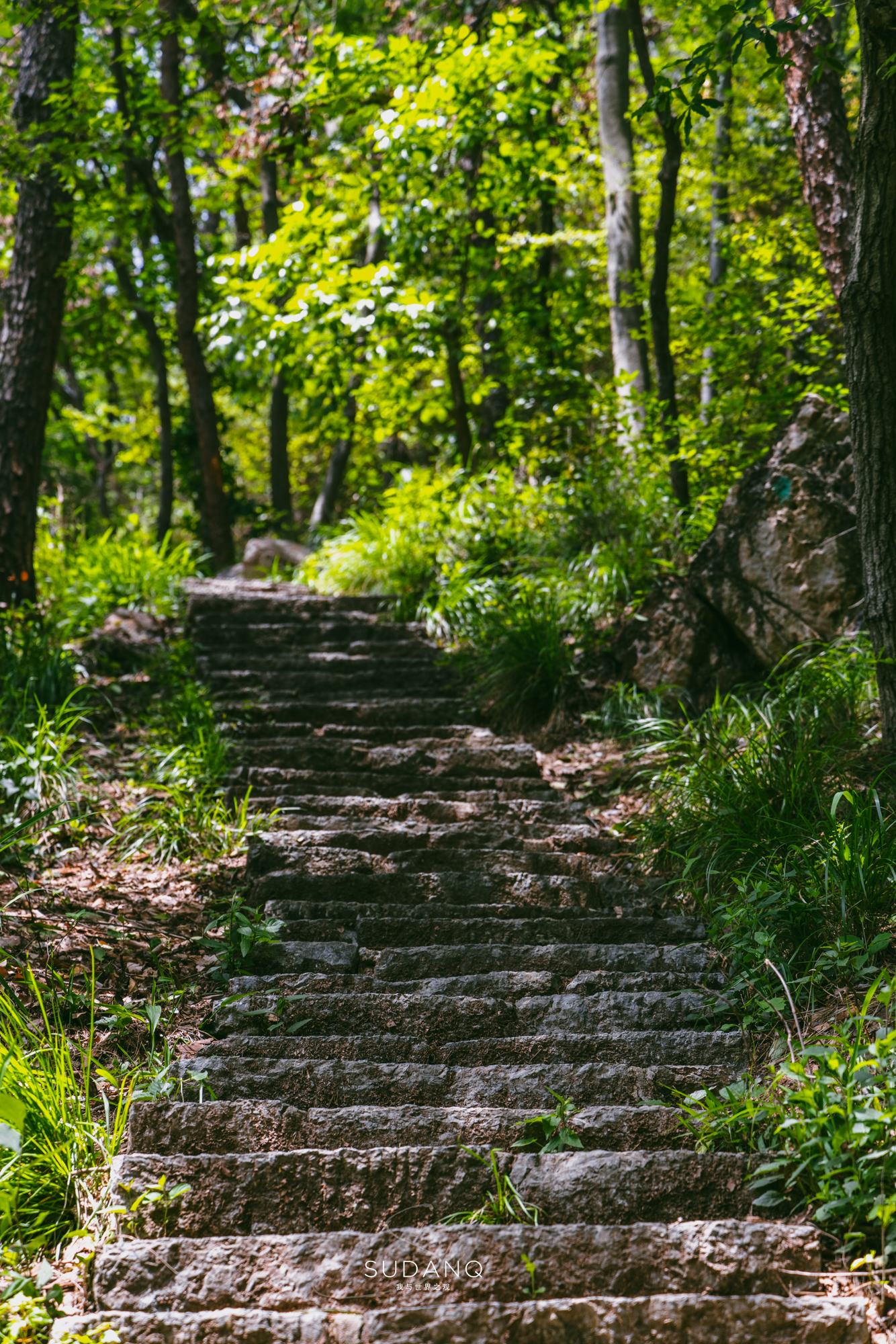 武汉历史上最悠久的地方,武汉历史底蕴