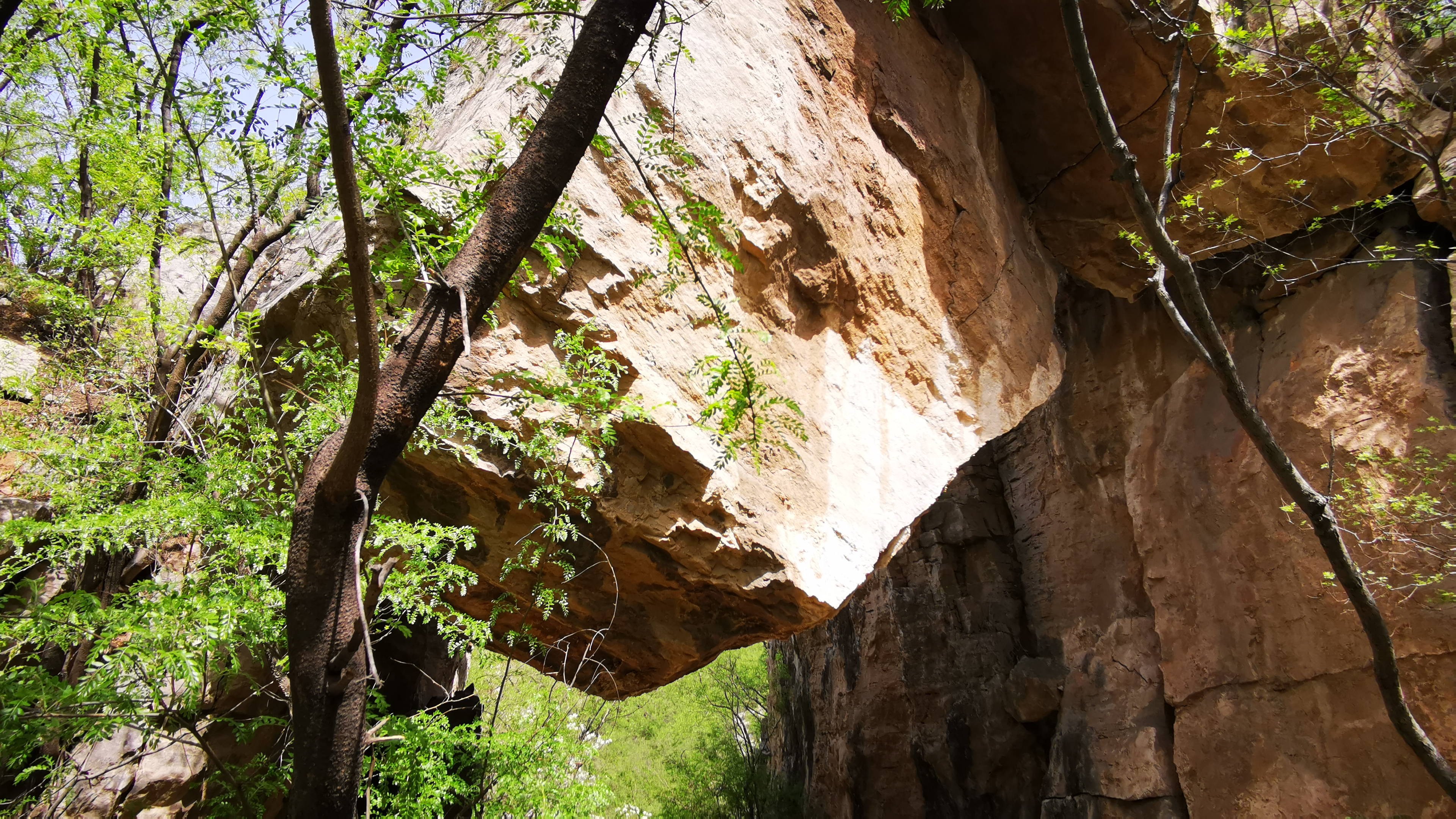 井陉马头红山基地,井陉洛阳村游玩攻略