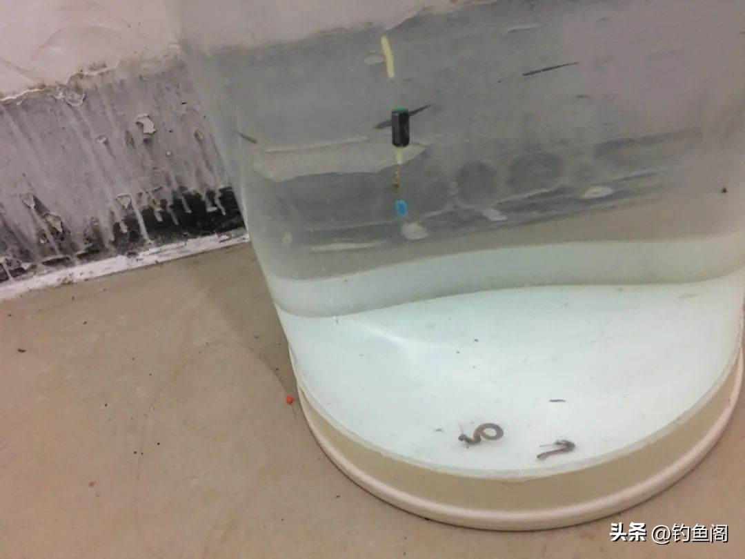 钓鱼时怎样调漂才是正确的,钓鱼怎样调漂才是正确的