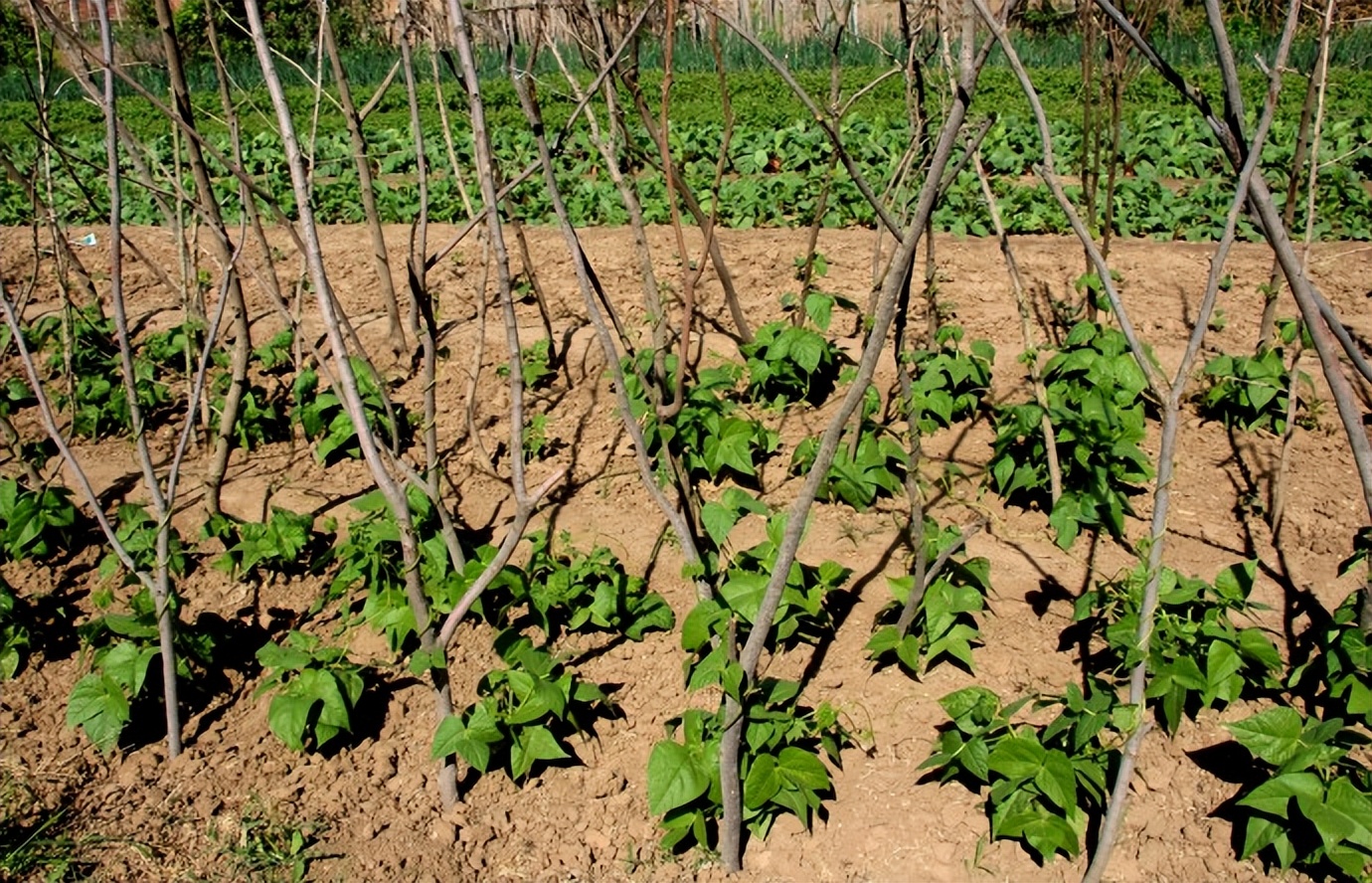 体检·小酌·途中·公园·侄女·其它