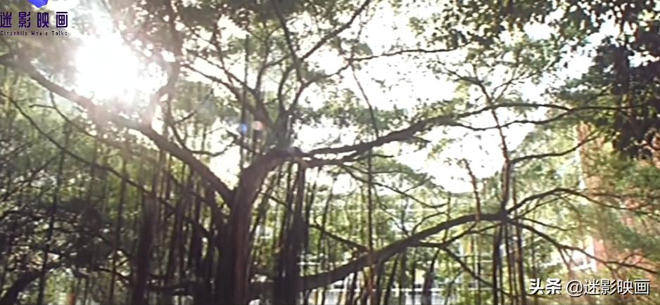 30年前的邪典片，香港狐仙索命传说，真人真事改编，至今被低估