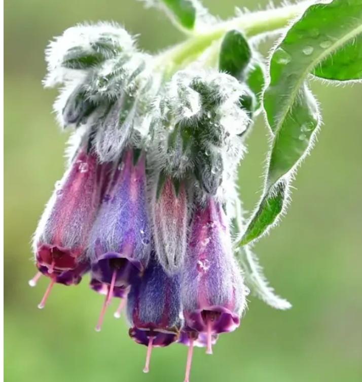 润泽修护面膜排行榜,补水面膜排行榜10强冰岛