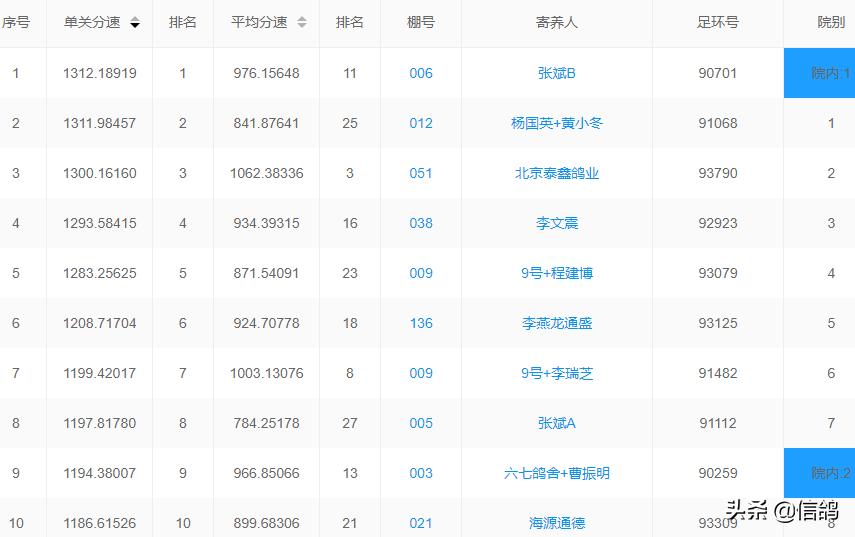 铁鹰第四关赛事直播,铁鹰四关飞翔