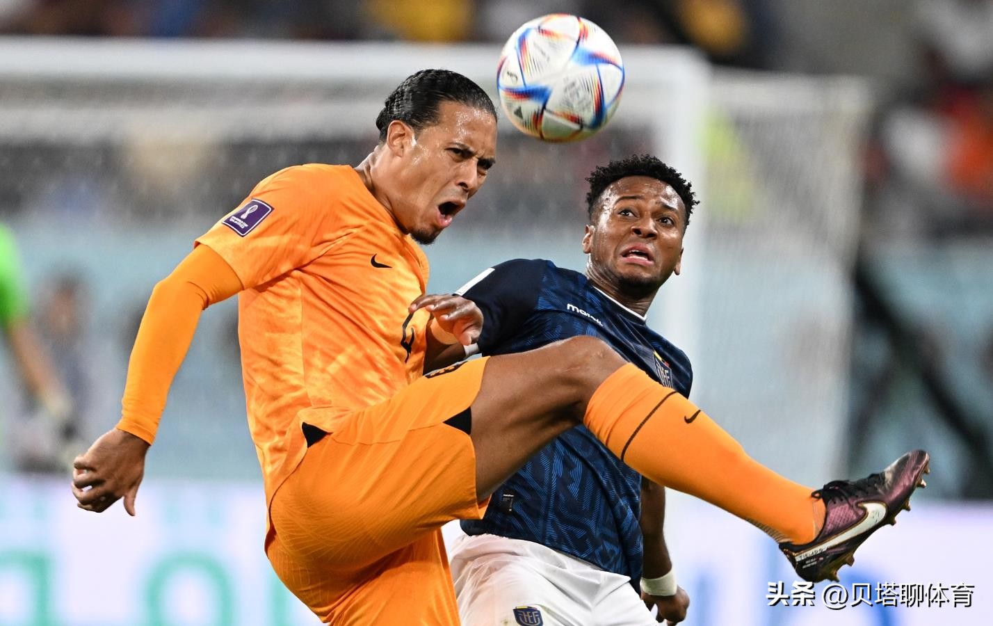 荷兰队对厄瓜多尔怎么是胜平呢,世界杯荷兰厄瓜多尔上半场