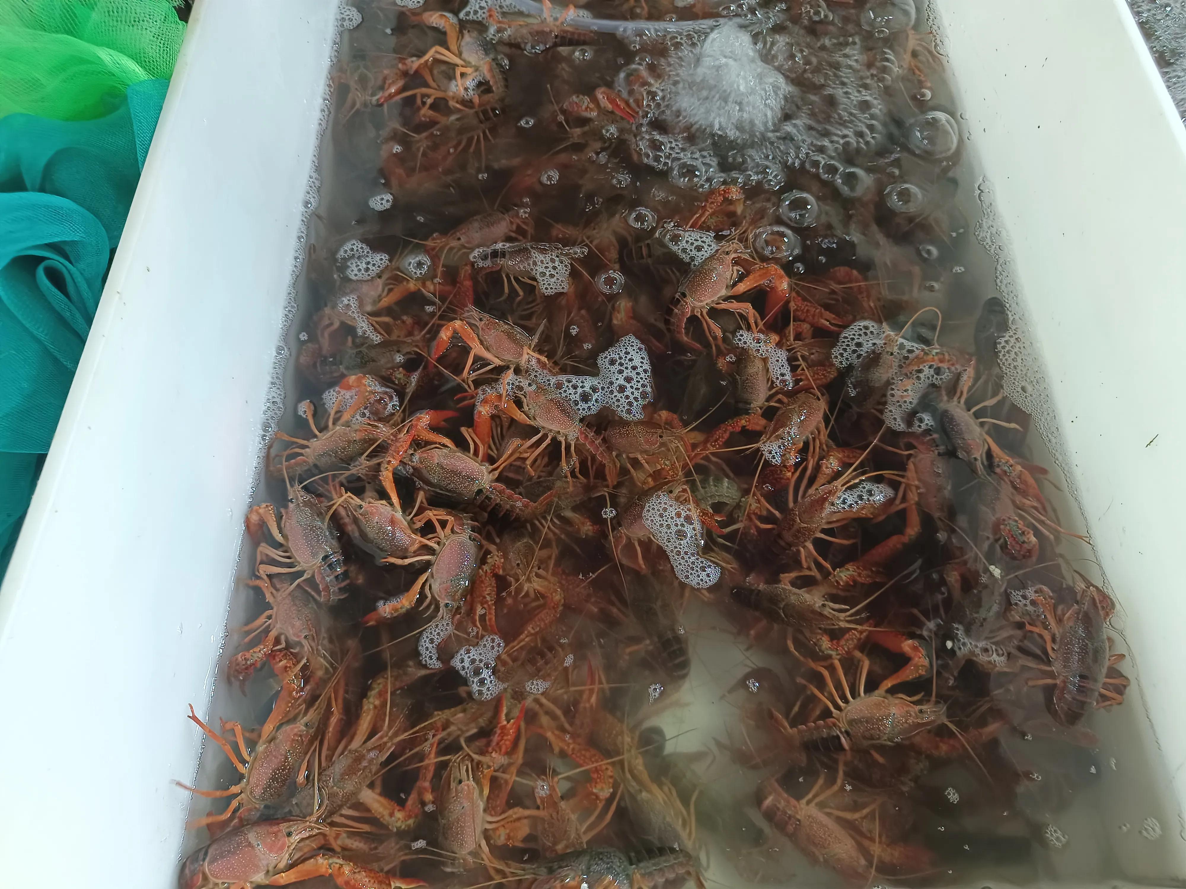 徒步第十二天旅行记录,徒步第十二天旅行