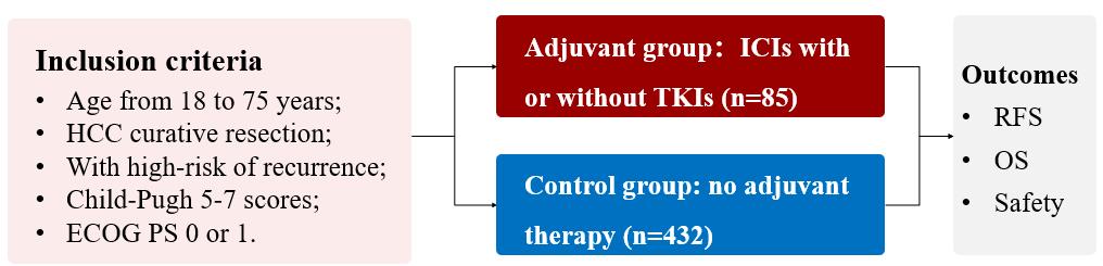 肝细胞癌晚期手术后抗肿瘤治疗,肝细胞癌术后辅助治疗
